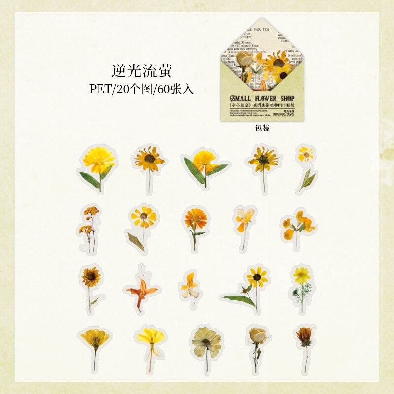 Retro Dried flower specimen PET Deco Stickers Plant Flower Leaf Transparent Bullet Journaling Accessories Aesthetic Stickers: 4