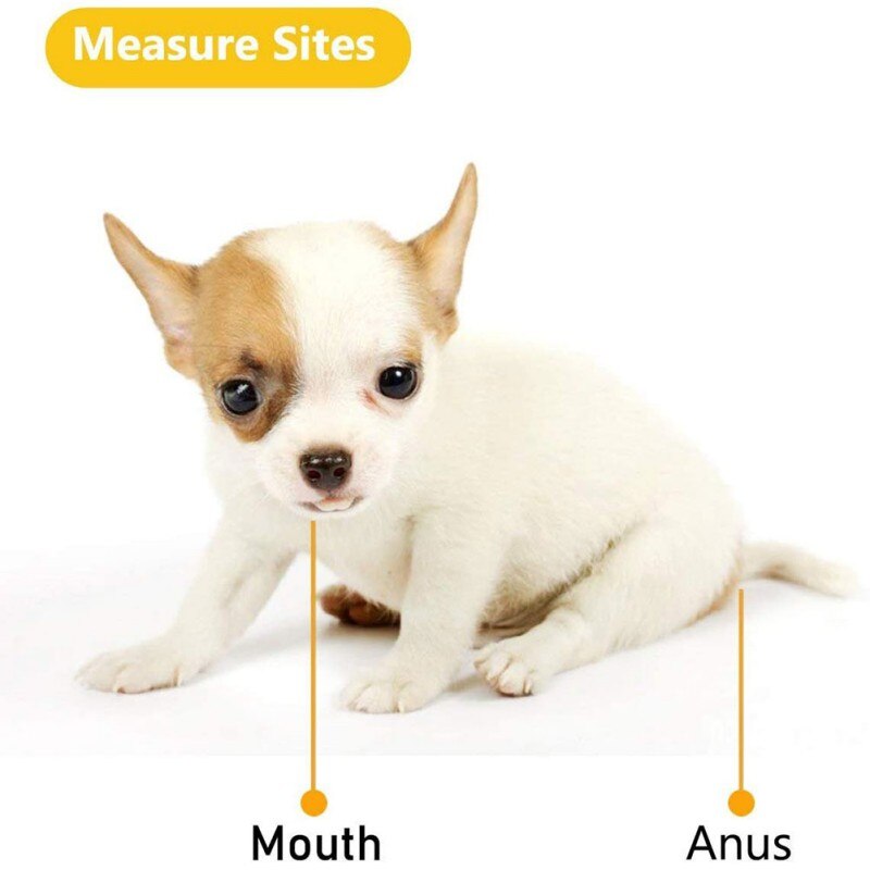 Veterinary Thermometer Digital Animal Thermometer Pet Veterinary Thermometer Dog Thermometer Body Temperature Indicator