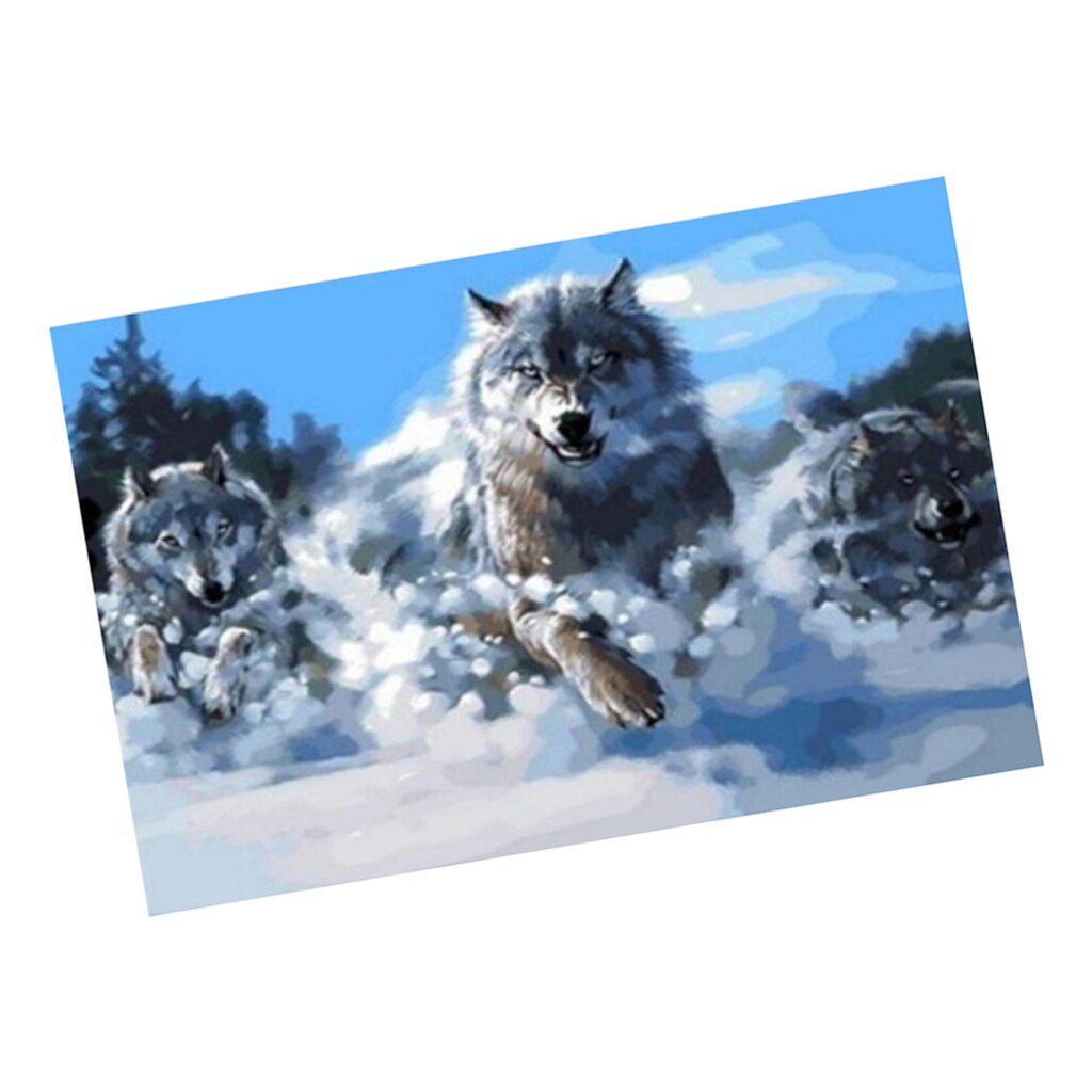 DIY 5D Diamond Painting Kits For Adults Full Drill, Embroidery Paintings