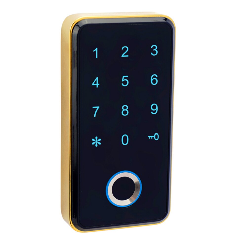 Rfid Locker Digital Drawer Smart Finger Print Fingerprint Cabinet Door Lock with Password Keypad