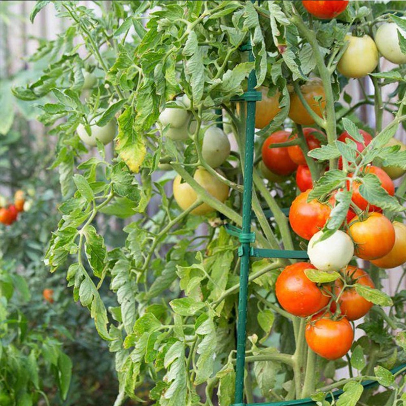 25 Pack Garden Stakes Metal Plastic Coated Plant Cage Supports Climbing for Tomatoes,Trees,Cucumber,Fences,Beans,40cm