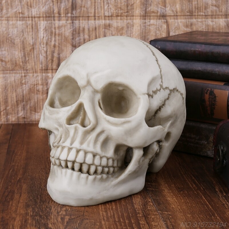 Resin Art Human Skull Replica Teaching Model Realistic 1:1 Adult Size N27 20
