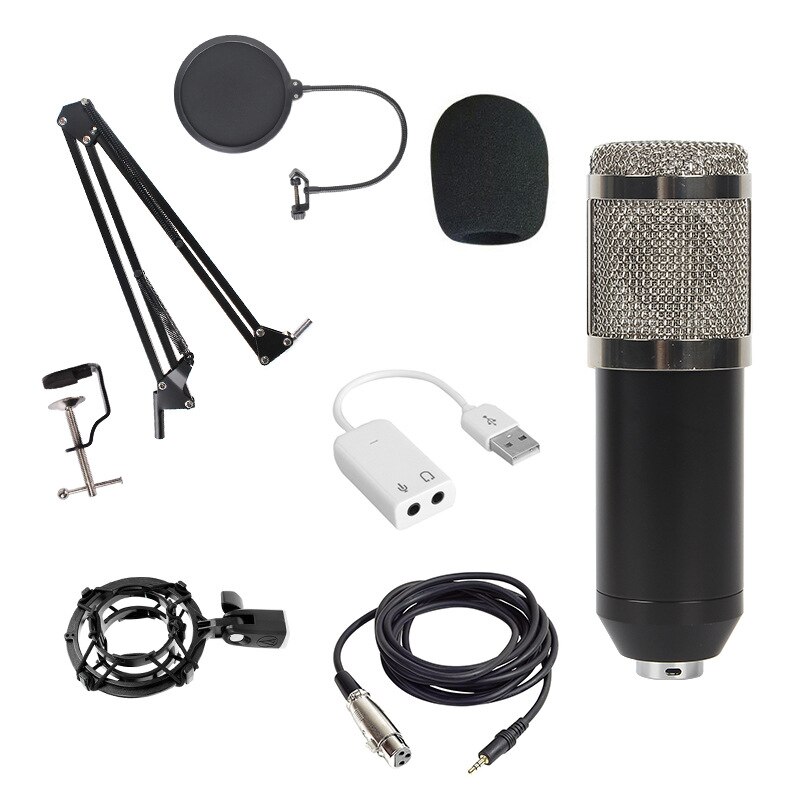 BM 800 microfone Studio Microphone microfone bm800 Condenser Sound Recording Microphone For computer PC: silver style 2