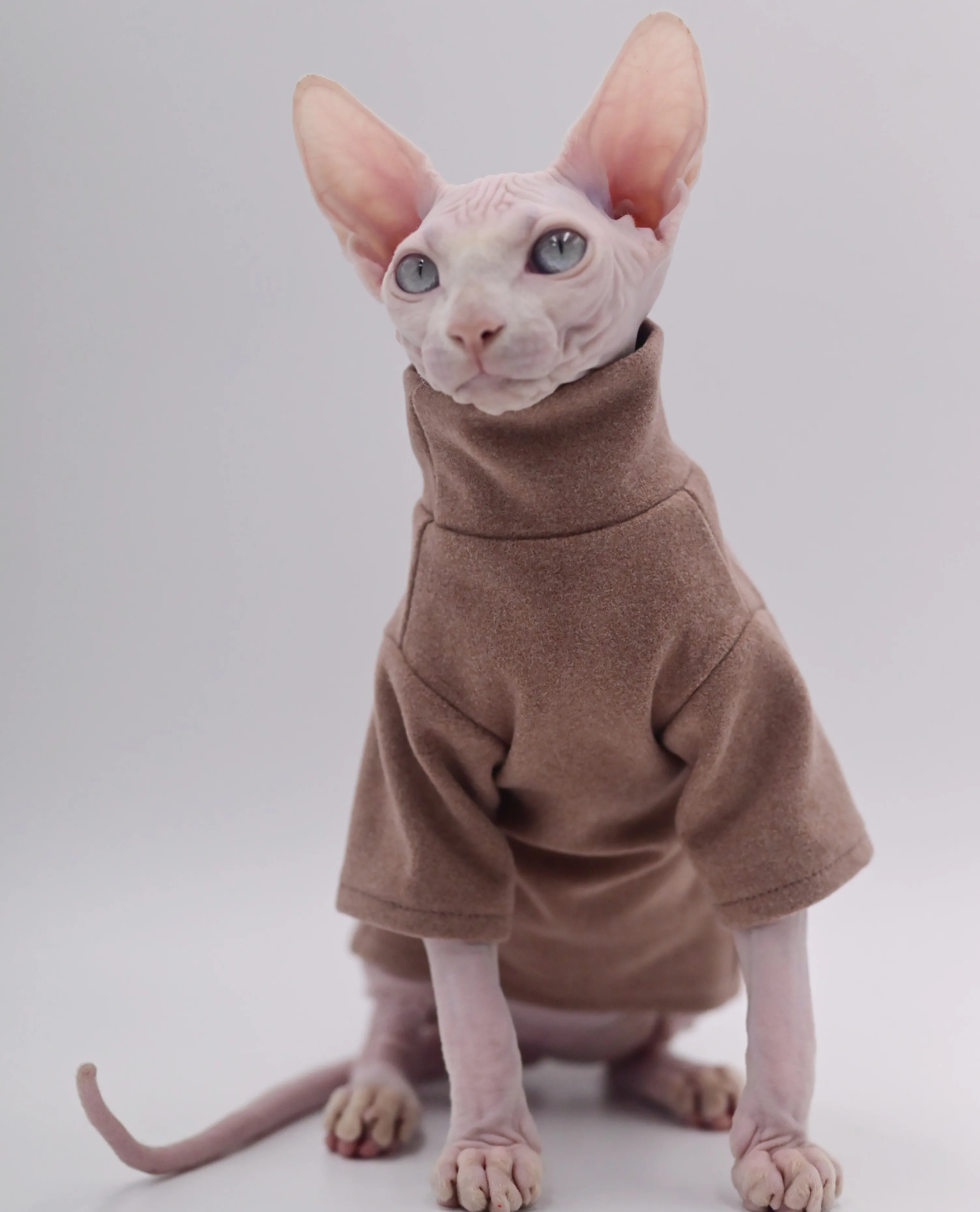Ropa para gatos sin pelo de algodón suave, ropa para gatos Sphynx, ropa para gatitos para Cornish, Devon, Yorkshire, KnnisCat, bebé: S / Azul