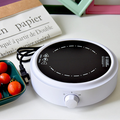 110v/220v elektriska keramiska spisar tespis hemmakaffe tekokare vattenkokare 2- växlad temperaturregulator elektrisk vattenkokare: Ljusgul / < 0.5l