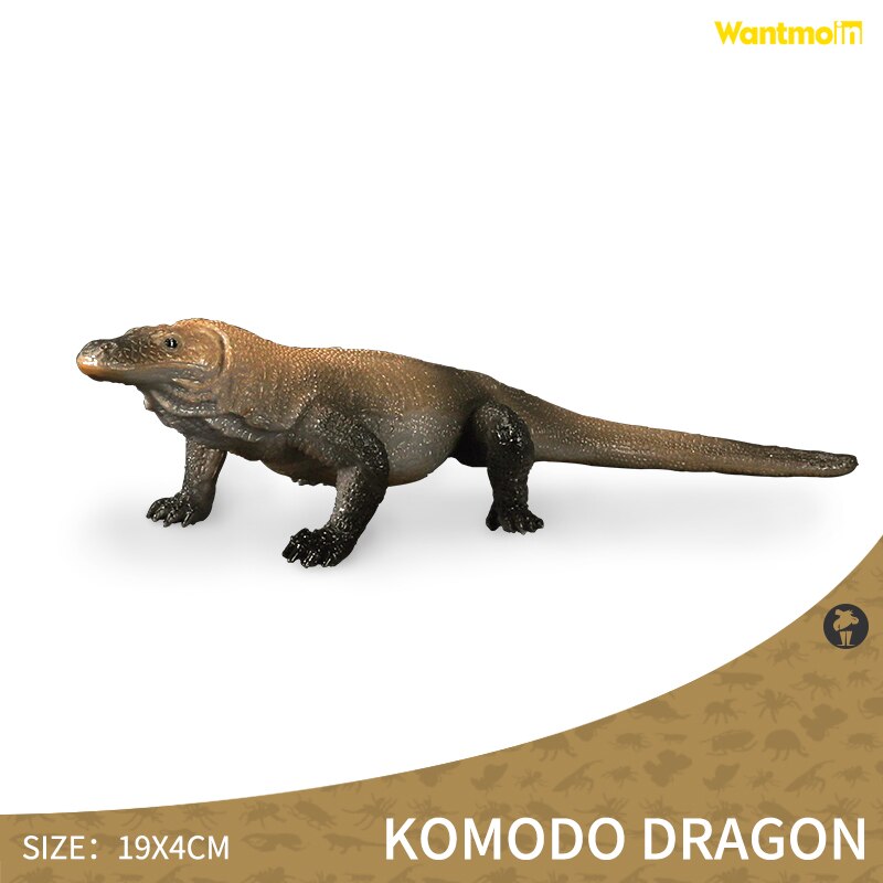 World-famous Dangerous Poisonous Wild Animal with Honey badger spider mosquito monitor lizard scorpion centipede snake Halloween: komodo dragon