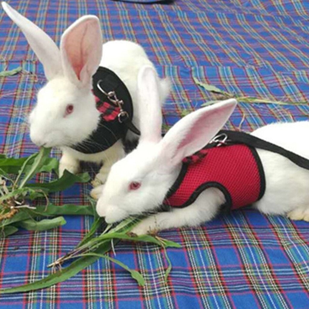 Arnés de chaleco para hámster de conejos S/M/L, con correa para el pecho de malla de conejo Leas, Ferret, conejillo de indias, animales pequeños, accesorios para mascotas