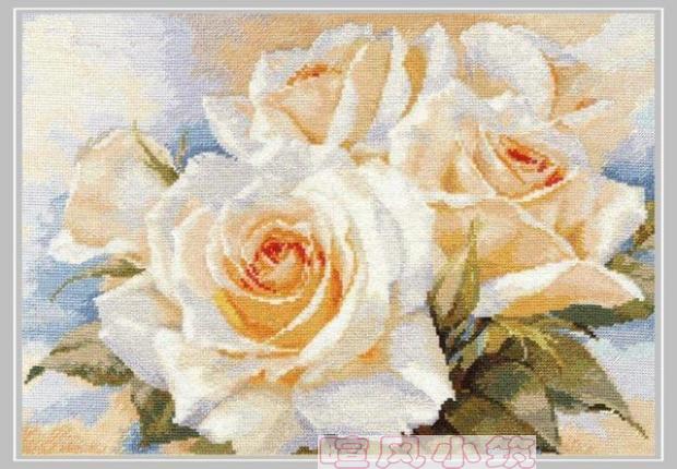 Gold Collection Telpatroon Witte Rozen Rose Bloemen Bloem alisa