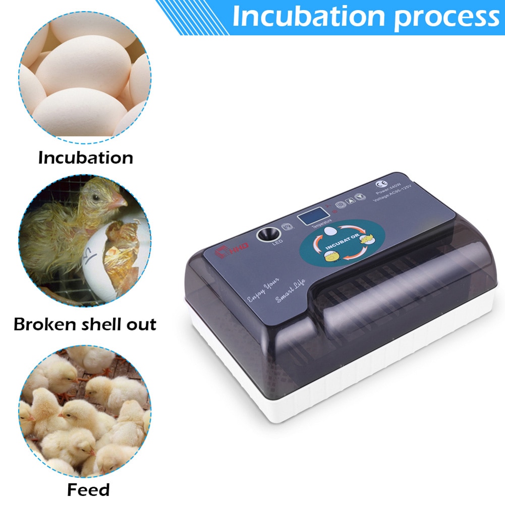 US/AU/ue/BG Plug 12 oeufs automatique ferme couvoir incubateur volaille poulet couveuse Machine nouvelle incubateur couveuse Machine
