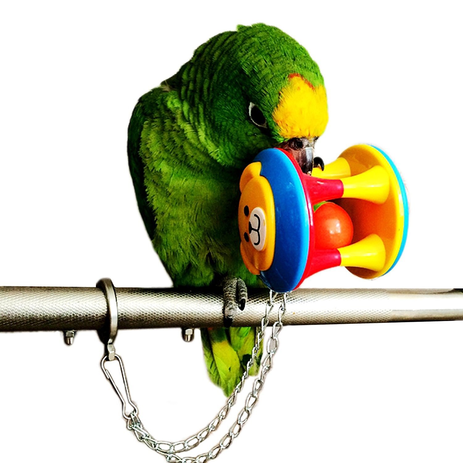 Lemmikki lintu puree lelu papukaija pureskella pallo leluja papukaijojen keinu häkki roikkuu cockatiel brinquedos linnut lelu lintu tarvikkeet: Musta