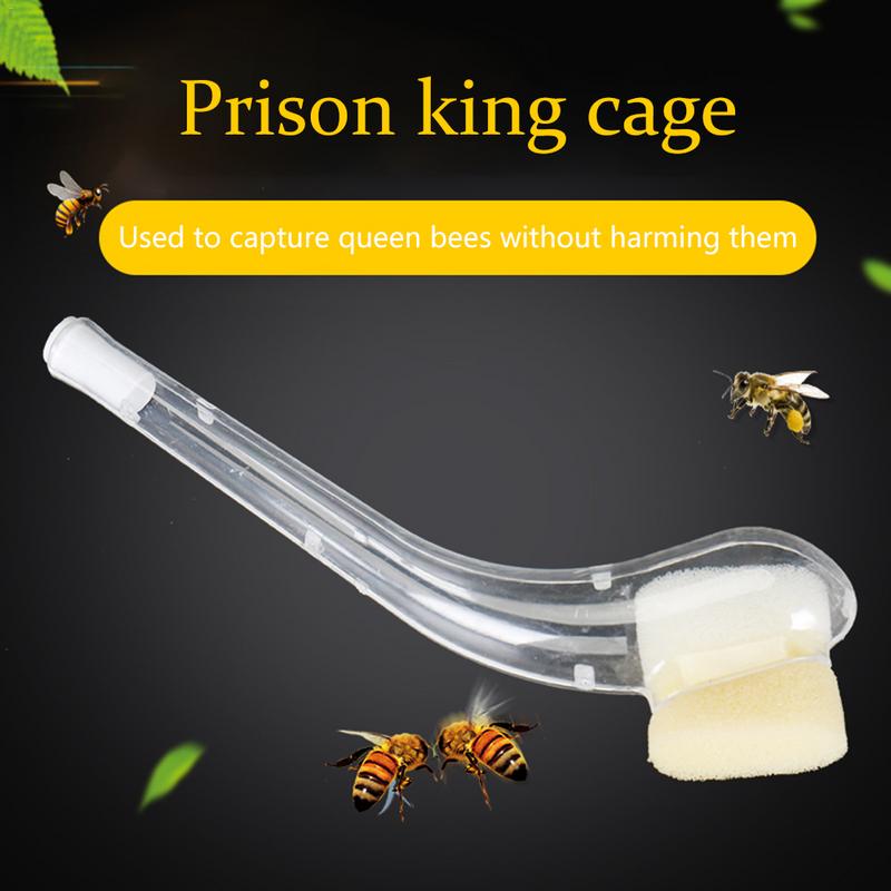 Bee Beekeeper Queen Catching Cage Beekeeping Equipment Protection
