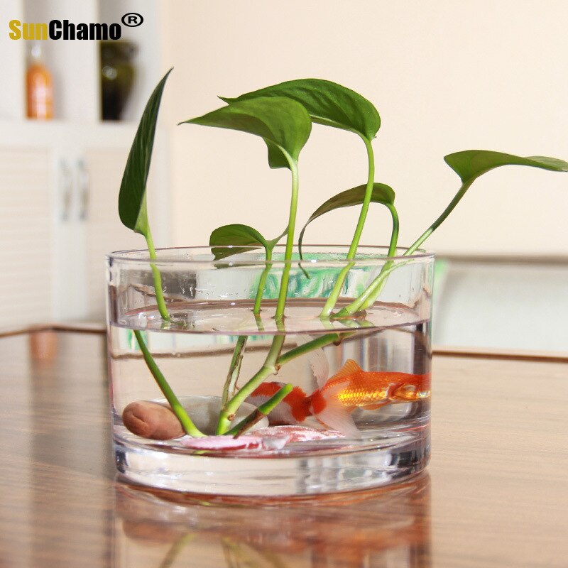 Macetas de vidrio cuadradas pequeñas y transparentes, jarrón y vaso para plantas, 10x10CM