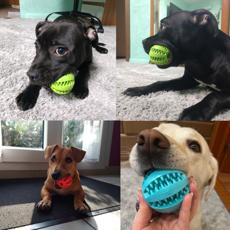 honden speelgoed hond Niet Giftig Hond Speelgoed Rubber Hond Ballen Grote Honden Tand Chew Reinigen Speelgoed Voor Hond Interactieve Speelgoed Puppy Honden Speelgoed voor Kleine Honden