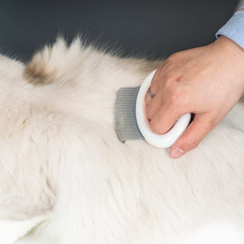 Hond Anti-Huid Kras Pet Massage Kam Katten En Honden Float Haar Cleaner Schoonheid Kam