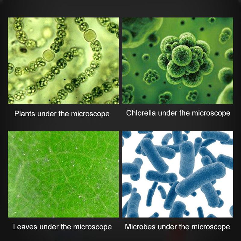 1200X Student Monocular Biological Microscope Set LED Home School Science Educational For Kids Child Lab Optical Instruments