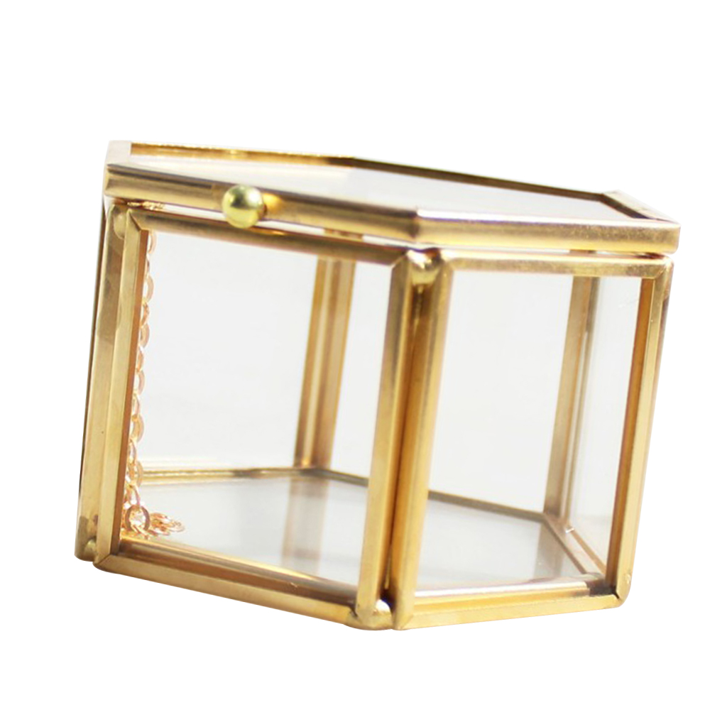 Modern Hexagon Clear Glass Brass Geometric Terrarium Fern Moss Air Plant Display Case Art Home Garden Decor Party Favors