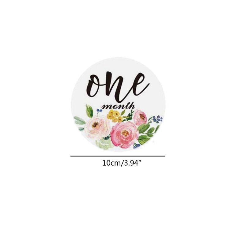 12- pack baby maandstickers en mijlpaalstickers neutrale baby eerste jaar maand