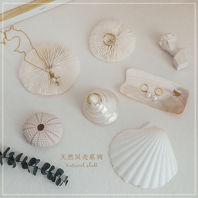 Shell decoration photography accessories photography Retro Props Birthday Party decorations props