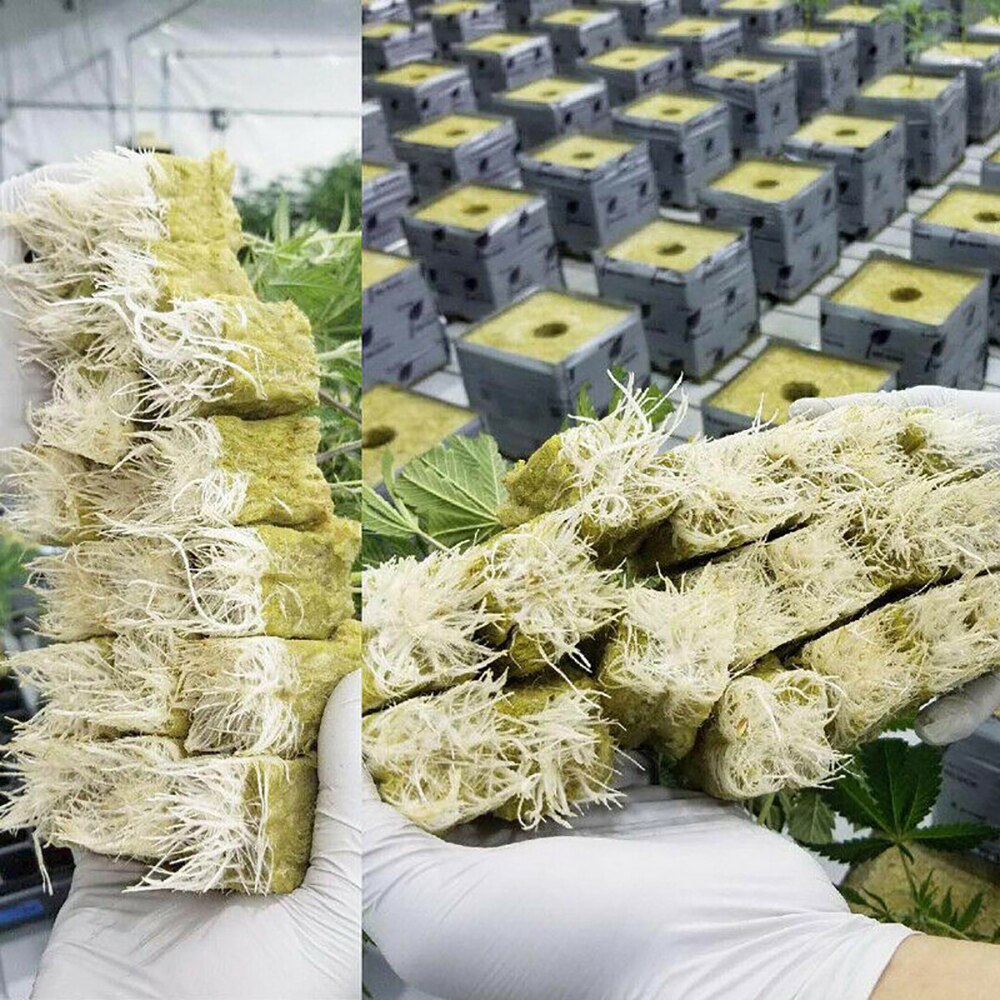 50Pcs Rockwool Block Seedling Sheet Root Growing Box Propagation Seed Raising Soilless Cultivation Hydroponic Rockwool Cubes
