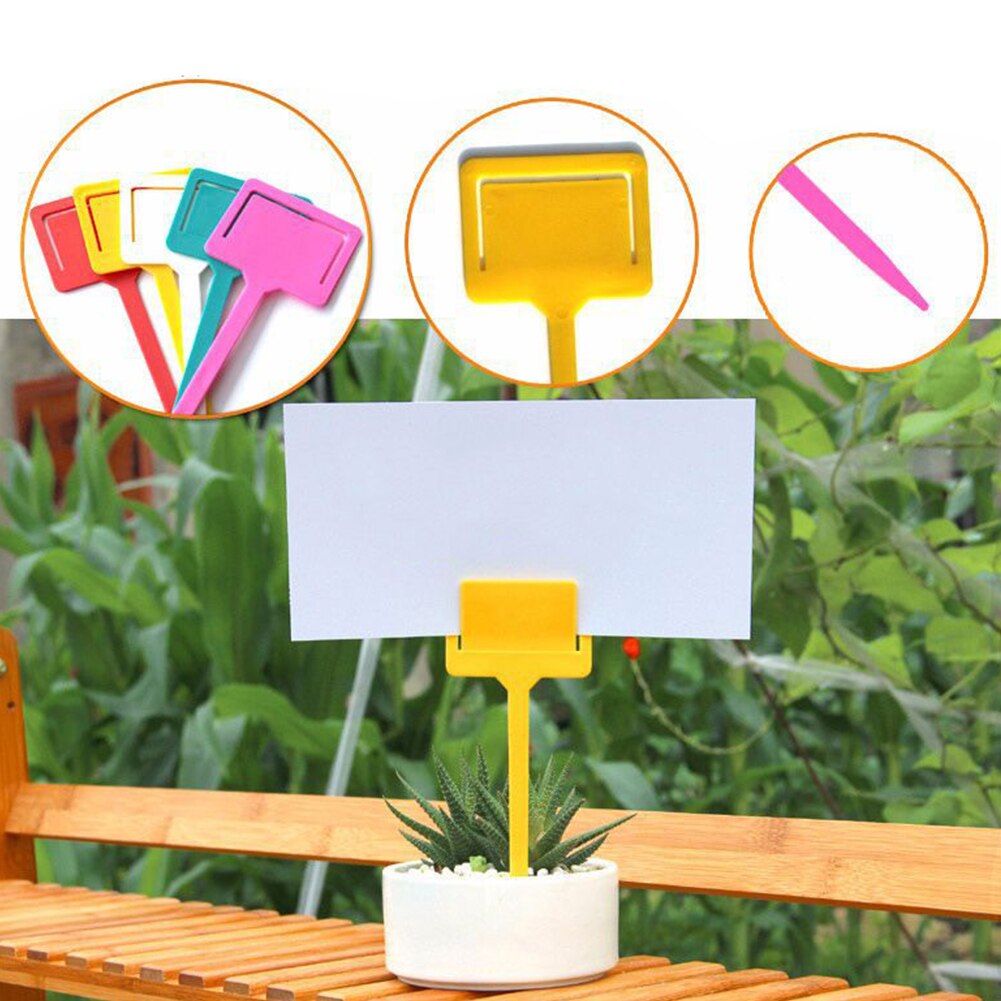 20 pièces étiquette fleur plante PP T Type bricolage jardin réutilisable pelouse pépinière étiquettes