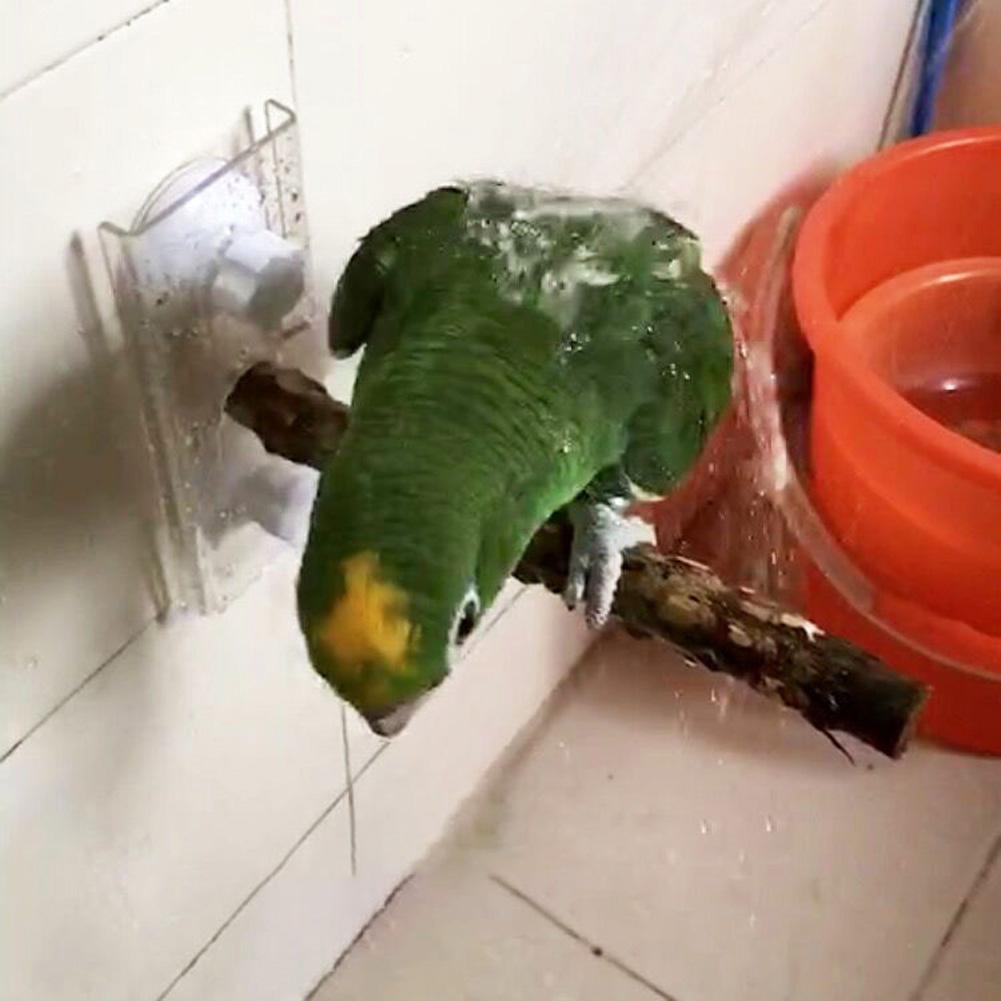 Palo de madera de pie para aves y loros, ventosa, barra de ducha, juguete de baño, suministro para mascotas