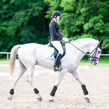 Hestebeskyttelsesstøvle blød elastisk rem hestebensbeskyttelse praktisk holdbar ridning hestebeskyttelsesstøvle