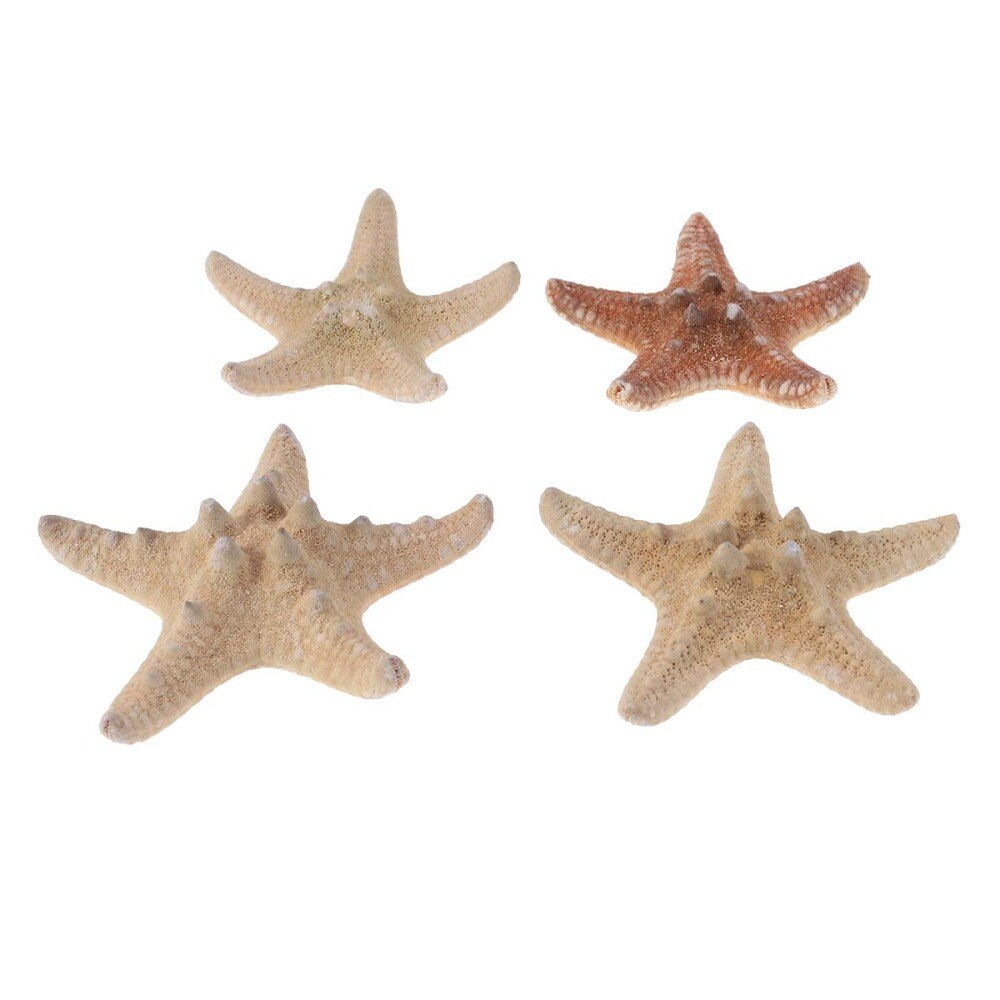 4 stuks zeester knutsels decoratie diy strandhuisje decoratie schelpen voor bruiloft fotografie feest huisdecoratie (4-6cm)