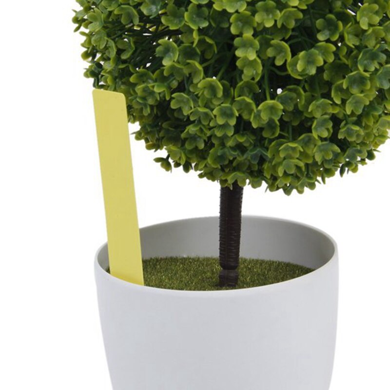 Étiquettes De Plantes En Plastique, Étiquettes De Plantes En Plastique Plantes T Jardin Pour Ext Rieur Nom Graines Panneaux Jardinage Bricolage Piquets D Identification Multicolores