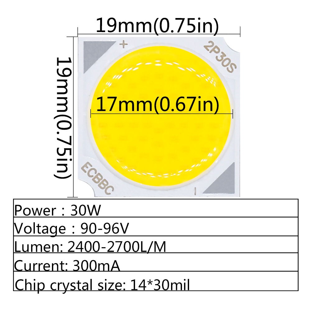 30W Led Cob Licht 10 Stuks Veel 30W Led Cob Gloeilamp Op Board 19*19mm High Power Led Chip Light Lamp Spotlight Downlight Lampen