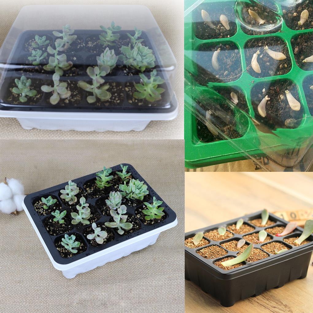 12 cells Seeding Box Breeding Three-piece Set Propagate Seed Flower Grow Starting Germination Nursery Pots Plant Pot Garden