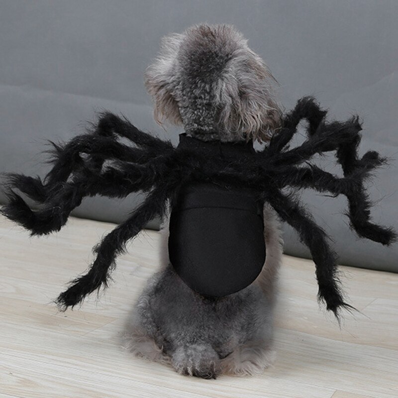 Edderkop hund kostume halloween edderkop kæledyr kostumer outfit tøj lodne edderkop ben