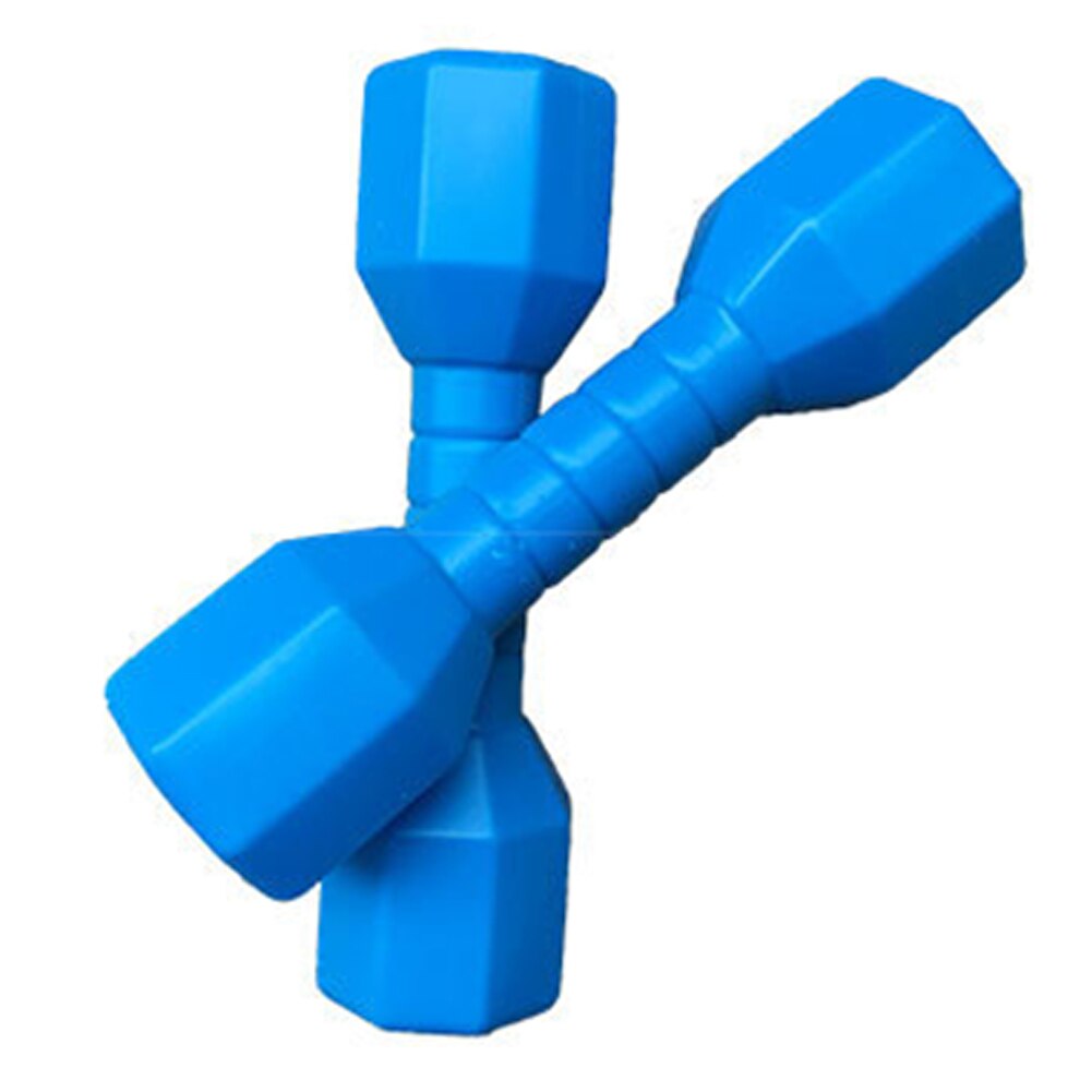 2 stuks/set handgewichten leuk voor thuis kleuters halters vroege educatie fitnessapparatuur pe oefening buitensporten: Blauw