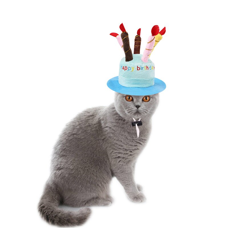 Chien chapeau pour animaux de compagnie chien chat chapeau avec anniversaire gâteau casquette bougie fête d'anniversaire Costume coiffure bébé accessoires marchandises