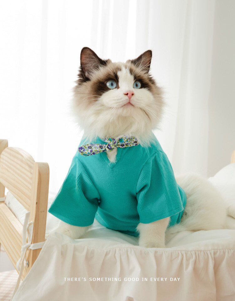 Pet Kleidung für Kleine Katzen Hunde Baumwolle Katze Kostüme Weichen Kätzchen Kitty Mantel Jacke Welpen Outfit: Blau / XXL