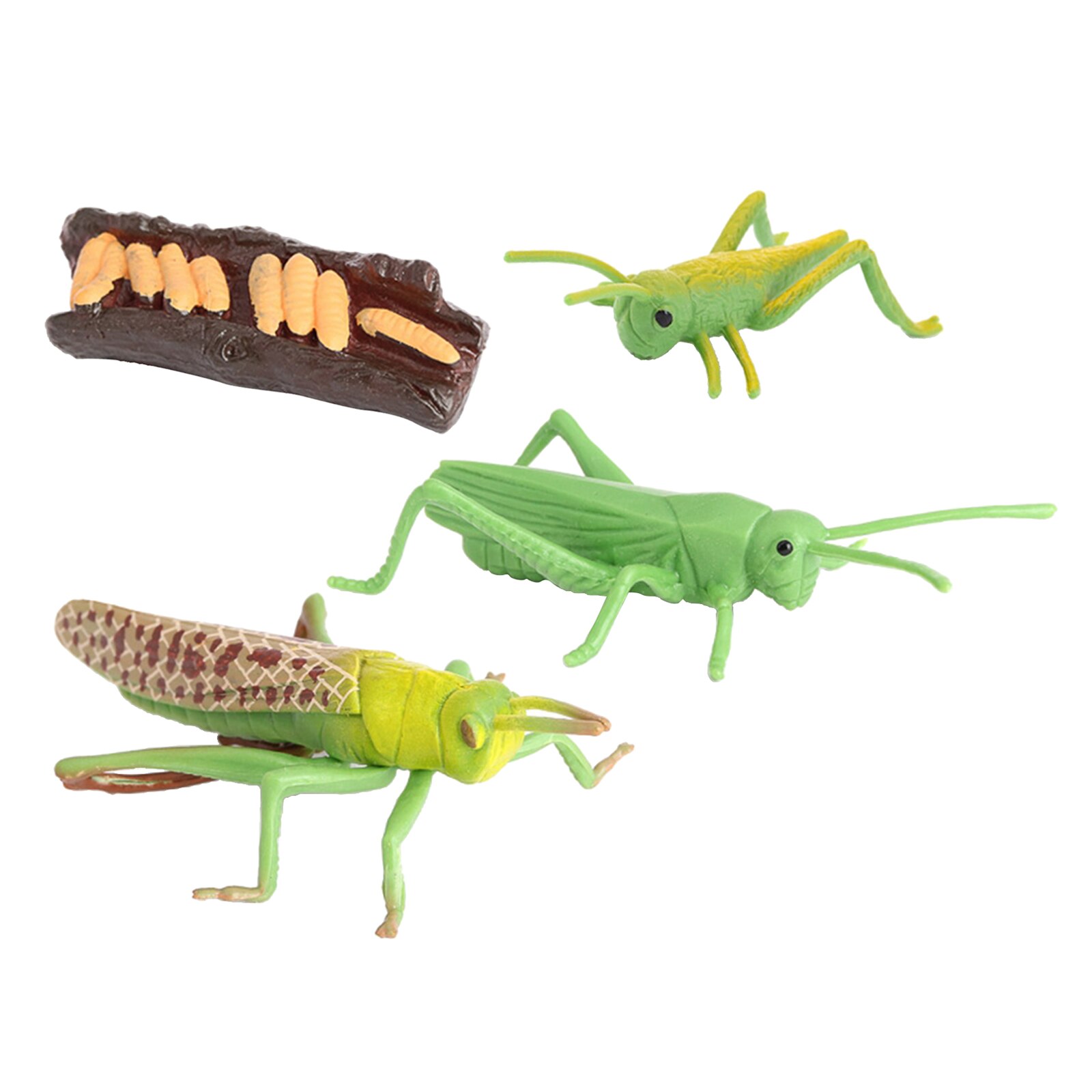 Figura de crecimiento de saltamontes naturales, juguete de simulación de plástico, para educación, fantasía, juguetes de biología, ayuda para enseñanza, temática