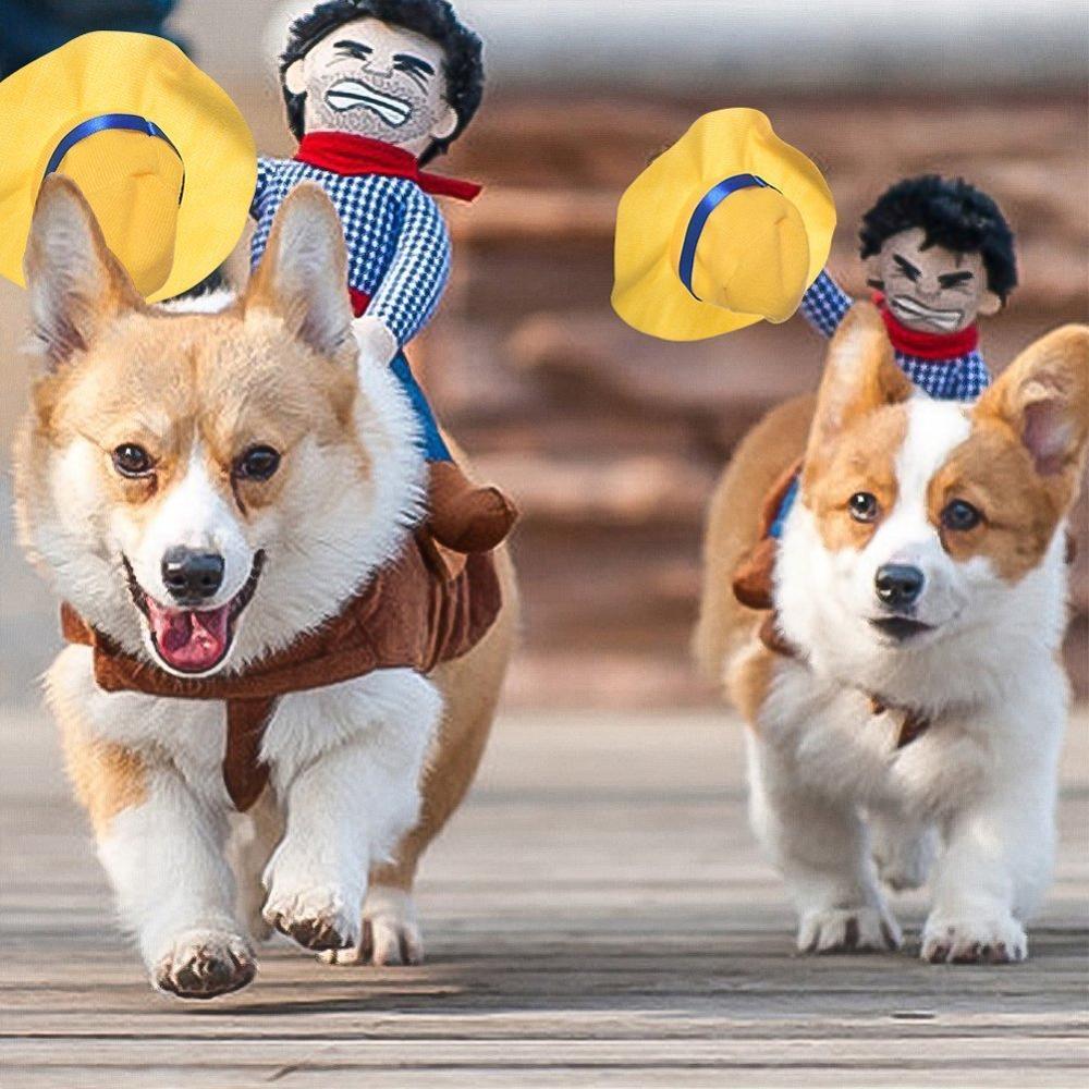 Chien vêtements chat Halloween drôle Costume fournitures pour animaux de compagnie équipement d'équitation robe petit moyen chien justaucorps manteau vêtements jeu de rôle