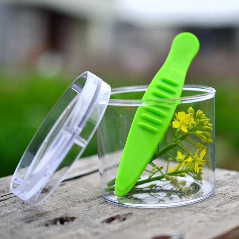 conjunto de herramientas de estudio de biología de insectos y plantas escolares para niños, pinzas de sujeción de tijera de plástico, bonito Kit de exploración de naturaleza para niños