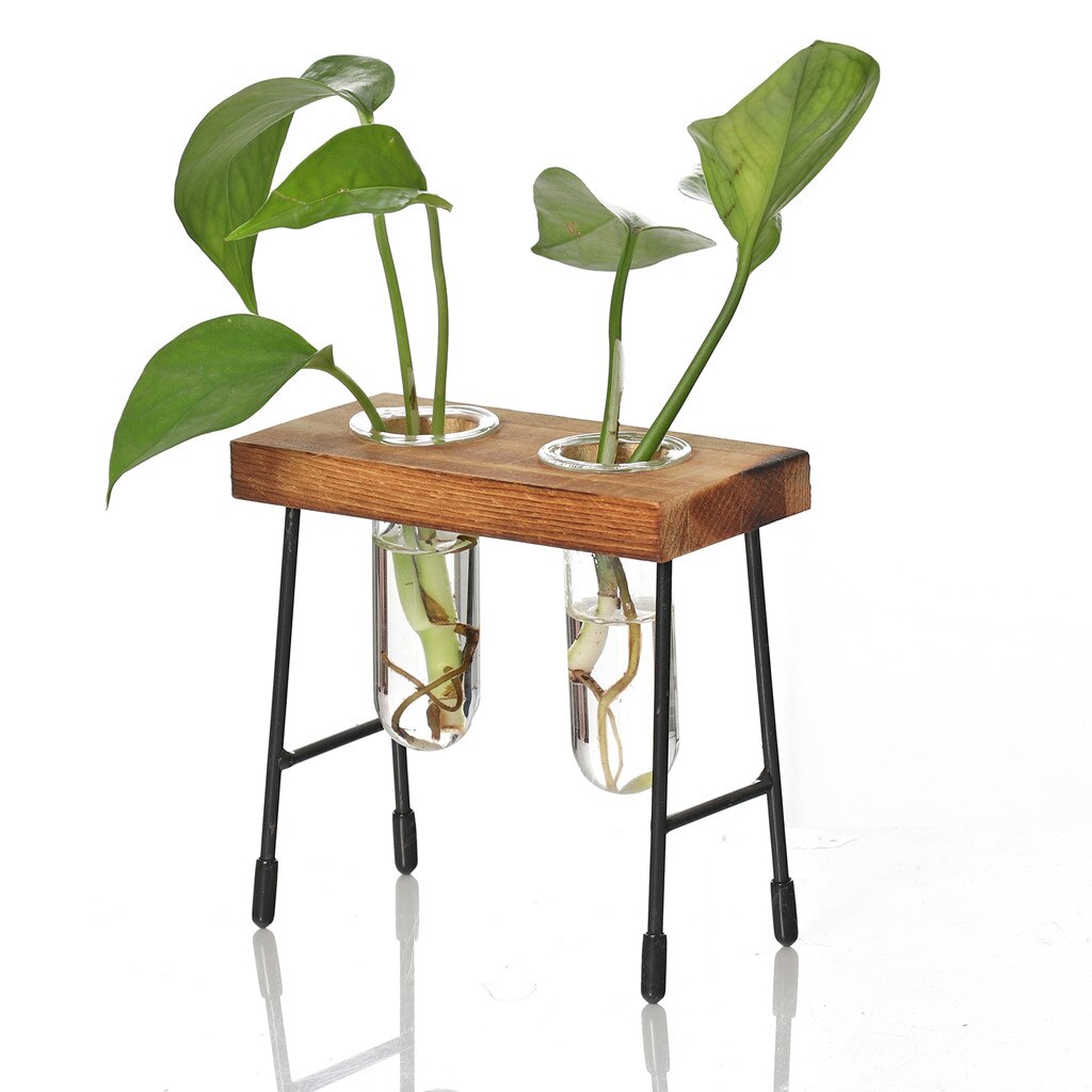 Table Desk Bulb Glass Hydroponic Vase Flower Plant Pot Wooden Tray