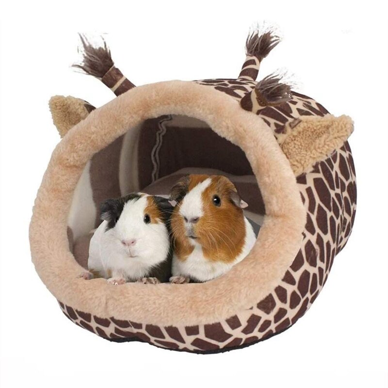Chinchilla – accessoires pour lit de cochon d&#39;inde, Cage, jouets, maison de Dragon barbu, fournitures pour Hamster: L