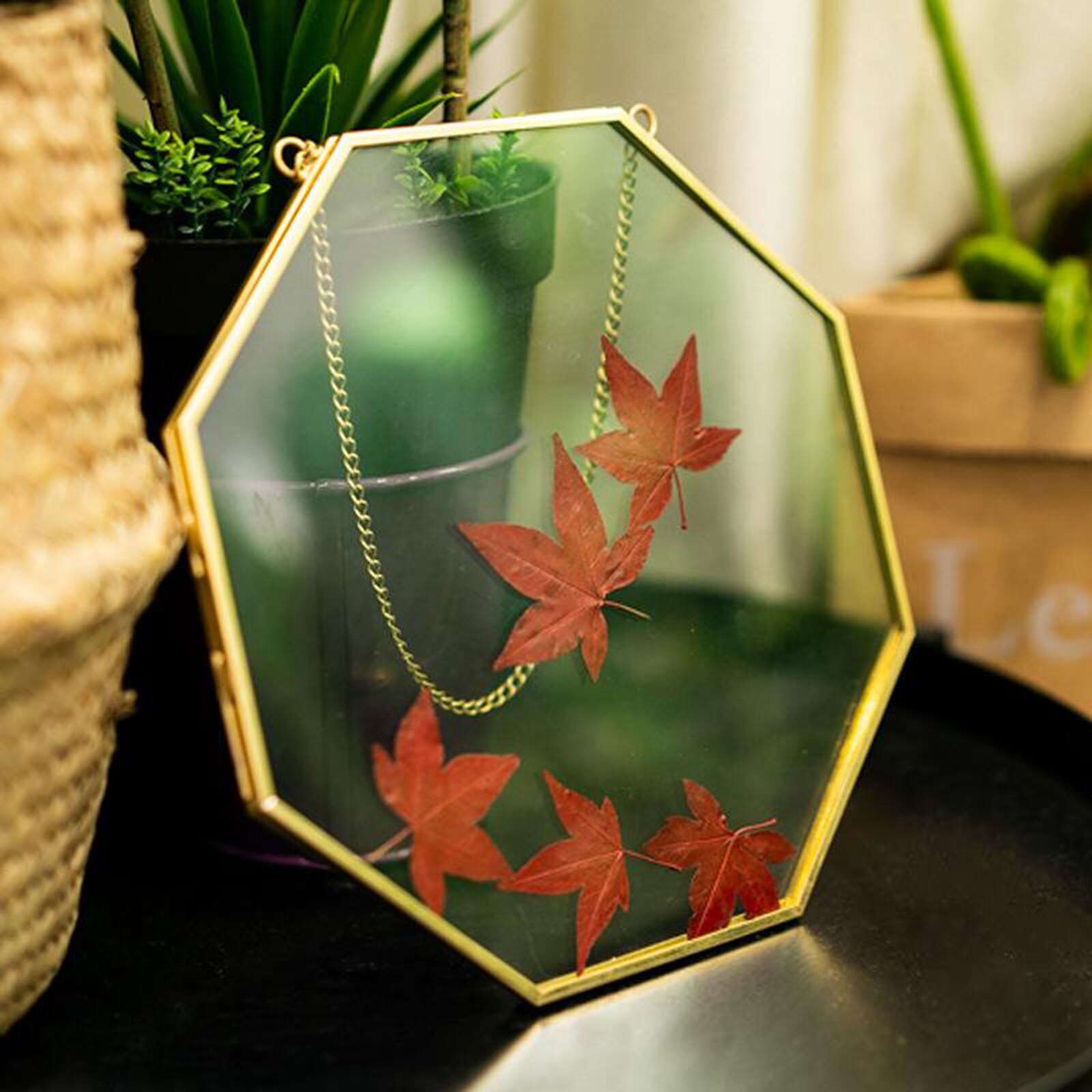 Brass Hanging Photo Frame Geometric for Display Plant Artwork