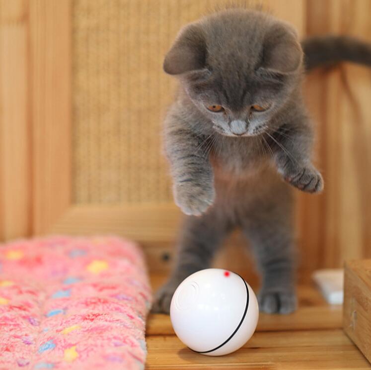 juguete para gatos luz LED bola libre carga USB juguete divertido gato inteligente bola rodante automática juguete de adiestramiento de gatos LED luminoso