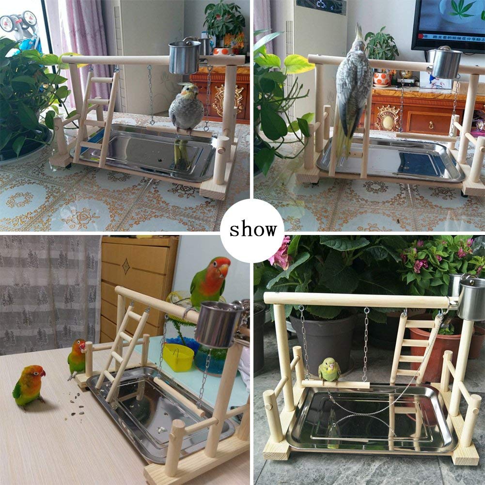 Papegøjer legeplads fugle legeplads træ aborre gymnastiksal legeplads stige legetøj træning legetøj conure lovebirds