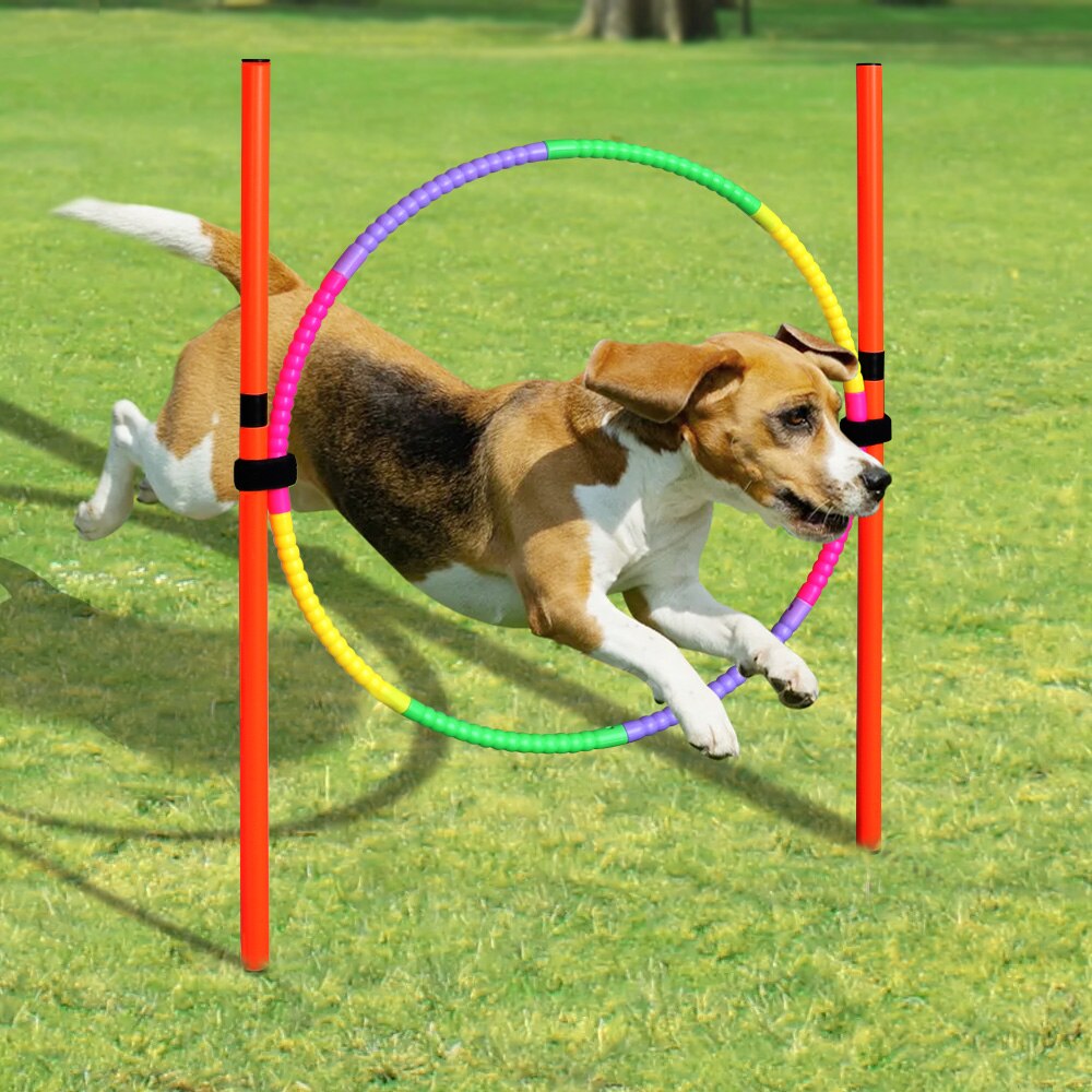 Outdoor Dog Training Equipment Portable Dog Exercise Running Training Jumping Stakes Sports Dogs Agility Equipment Pet Supplies