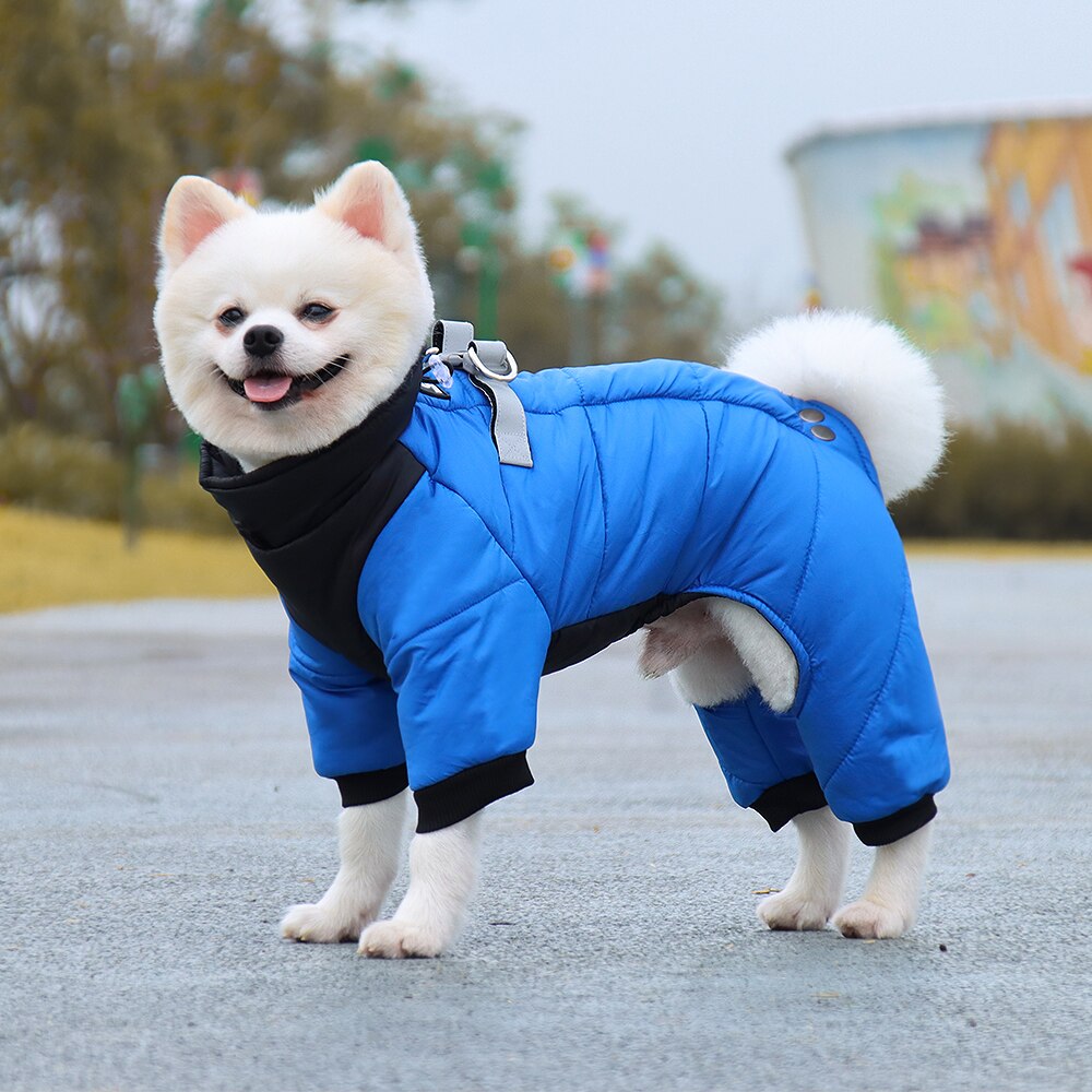 Vêtements réfléchissants d'hiver pour chiens, manteau épais et , avec bretelles, Chihuahua, bouledogue français: Bleu / L
