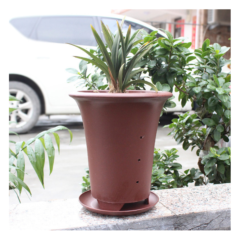 Soucoupes pour plantes 6 pouces, plateaux en plastique, pots de fleurs robustes et durables, soucoupes pour intérieur et extérieur, 3 pièces