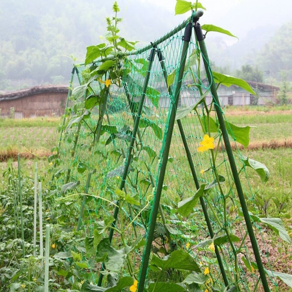 Gardening Network Plant Support Grow Net Holder Garden Fence Plants Climbing Nylon Net for Cucumber Morning Glory Petunia Flower
