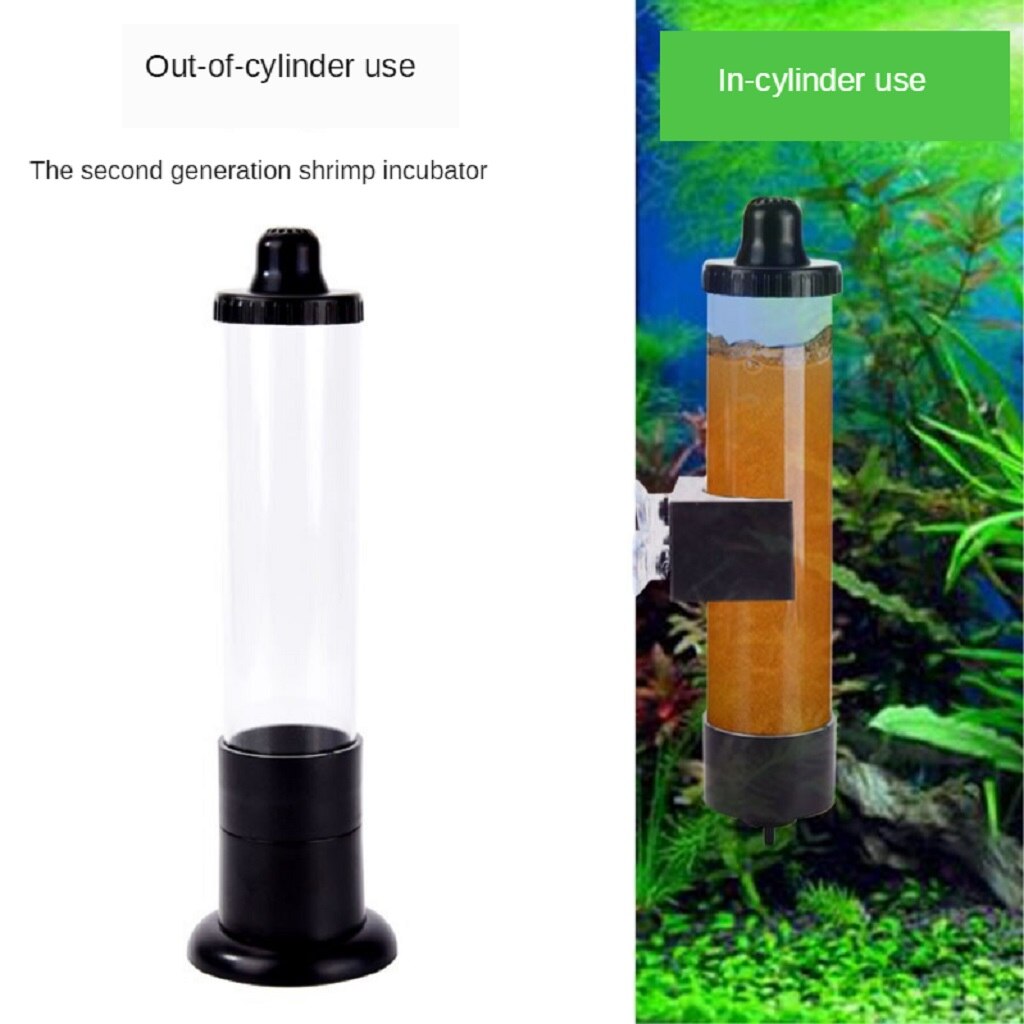 Incubateur d'œufs de crevettes, outil d'incubation avec oxygène, œuf fin, rouge, saumure