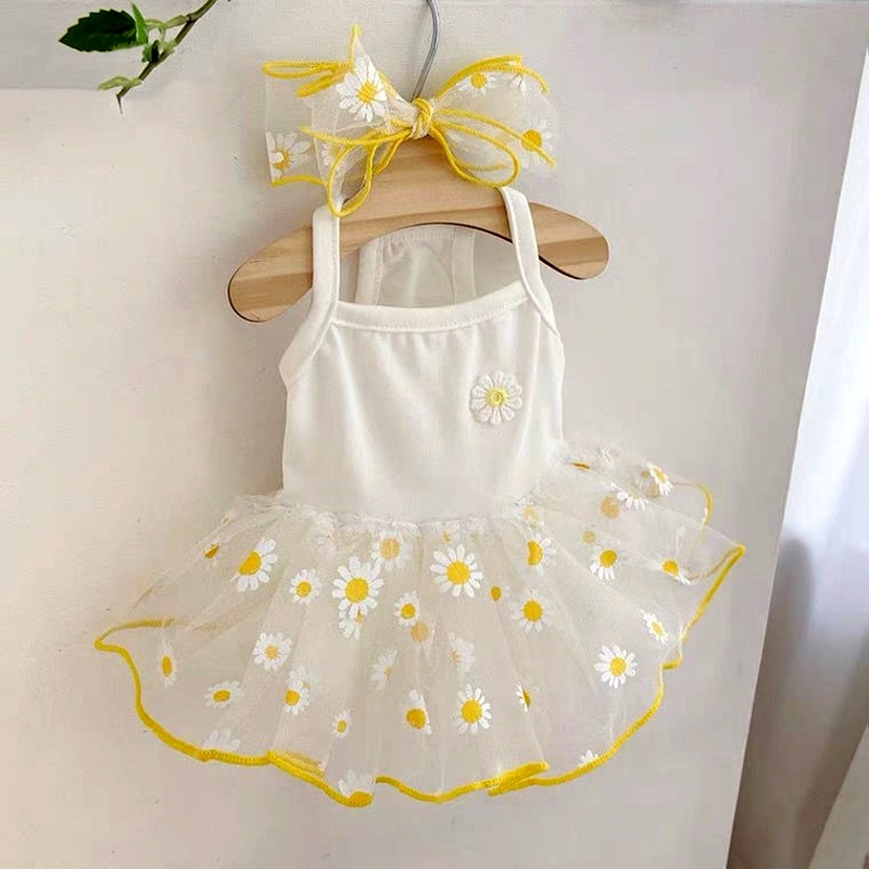 Robe de princesse pour chien, vêtements d'été mignons pour chien, jupe en dentelle pour chat, vêtements pour animaux de compagnie, Chihuahua Bichon, gilet pour chat, chiot, chemise pour filles