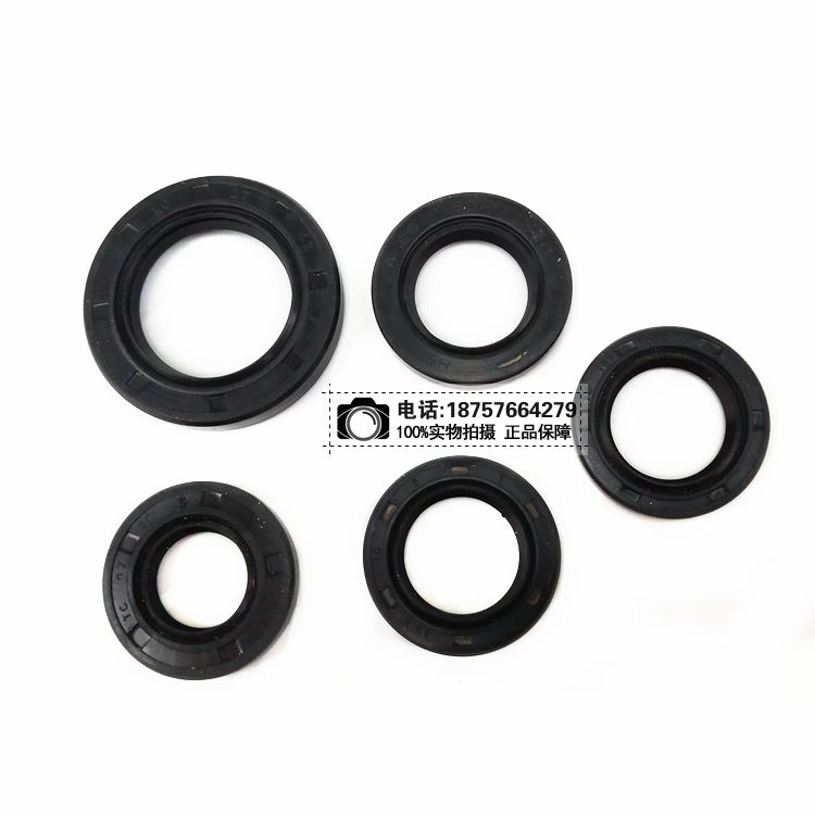 Full-Vehicle Oil Seal CG125 150 175 200 250cc Three Rounds of Motorcycle Engine Gear Lever Oil Seal