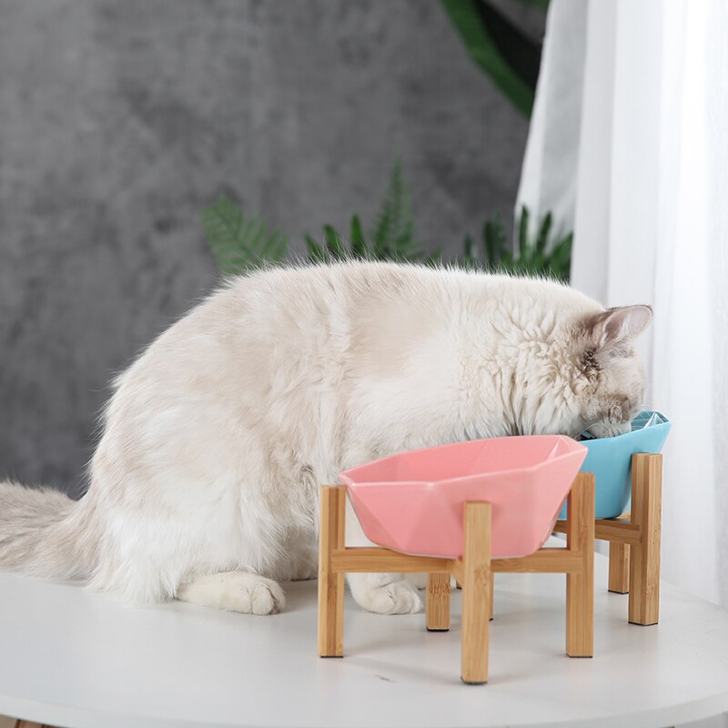 Nydelig skål for katt hundebeskyttelse keramikk livmorhvirvel hevet stativ kjæledyr valp kattunge fat boller mat drikke vannmater